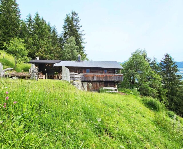 Eine rustikale Almliesl-Holzhütte steht auf einem grasbewachsenen Hügel inmitten von Bäumen und Wildblumen unter einem klaren Himmel.