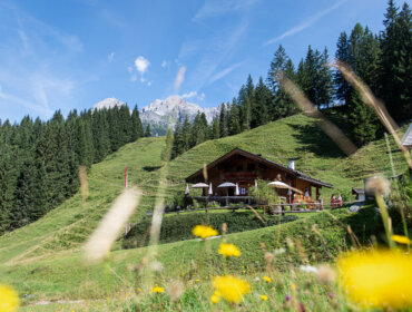 Berghütte inmitten von Kiefern und Wildblumen unter blauem Himmel mit fernen Felsgipfeln.