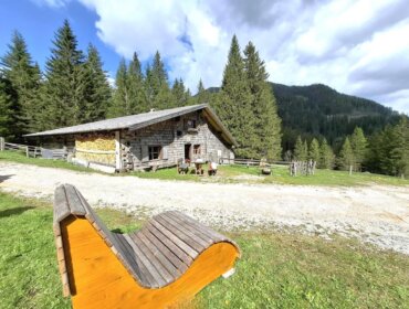 Eine österreichische Holzhütte auf einer Waldlichtung mit Bäumen, Bergen und einer geschwungenen Holzbank im Vordergrund.