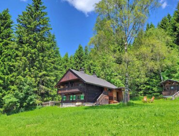 MITT-699 (24) Eine Holzhütte, umgeben von grünem Gras und hohen Bäumen unter einem strahlend blauen Himmel mit vereinzelten Wolken.