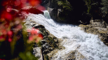 Ein rauschender Wasserfall fließt über Felsen, im Vordergrund verschwimmen rote Blumen - Almsommer im TV.