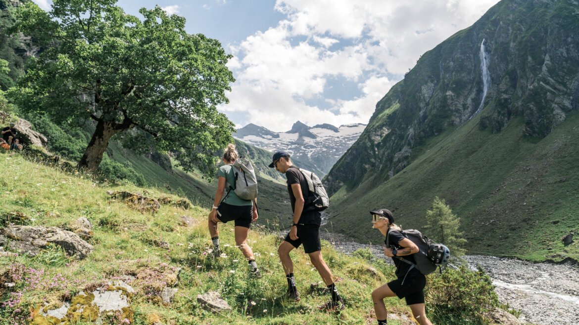 Drei Personen wandern mit Rucksäcken einen grasbewachsenen Berghang hinauf, umgeben von Bäumen und hohen Gipfeln. (vergrößerte Ansicht)