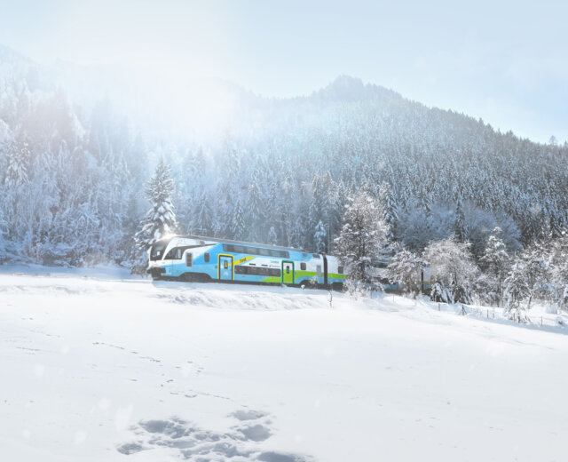Ein Zug fährt durch eine verschneite Landschaft mit Kiefern und Bergen im Hintergrund unter einem hellen Himmel.