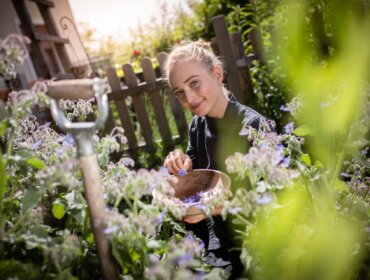 Eine Person kniet in einem Garten und pflückt Blumen mit einer Holzschale, umgeben von Grünpflanzen und einem Holzzaun.