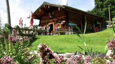 Eine rustikale Holzhütte mit Sitzgelegenheiten im Freien, grünem Rasen und rosa Blumen im Vordergrund.