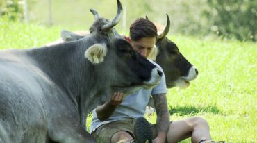 Eine Person sitzt im Gras und ruht sich mit zwei Kühen an einem sonnigen Tag auf einer grünen Wiese aus.