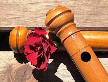 Eine rote Nelkenblüte im Mundstück einer Holzblockflöte, die auf einer Holzfläche liegt.