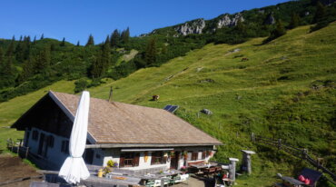 Die Almhütte Sulzkaralm mit abfallendem Grashügel, Tischen im Freien und grasenden Kühen unter strahlend blauem Himmel.