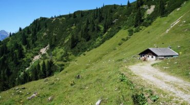 Eine kleine Holzhütte steht auf einem grasbewachsenen Hügel mit Bäumen und Bergen unter einem klaren blauen Himmel.