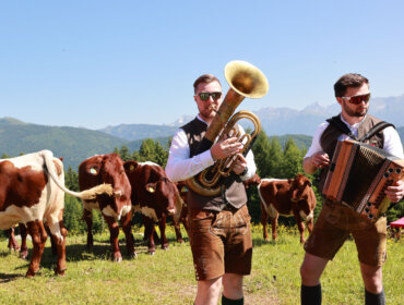 Two men in traditional österreichisch wear play brass and accordion at Bauernherbst, with cows and mountains behind.