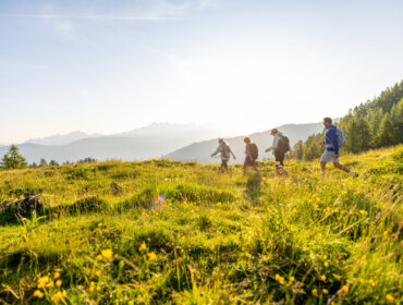 Flachau Summer Hiking (c) Flachau Tourismus Four people hike through a sunlit Flachau meadow with trees and mountains in the background.