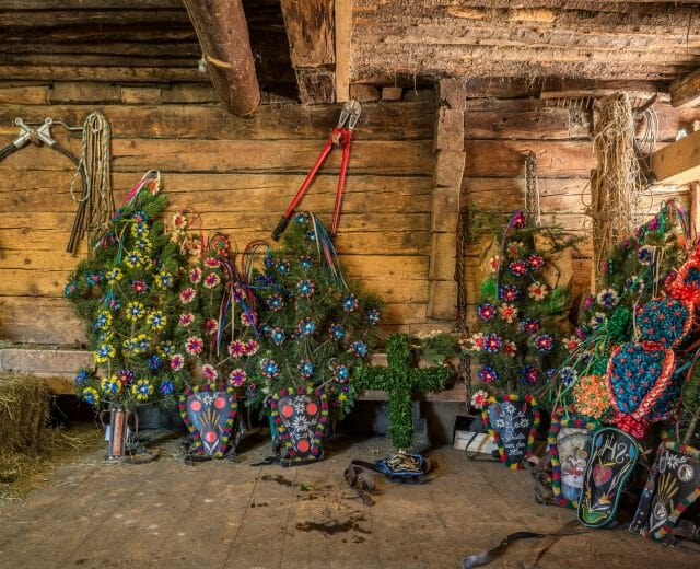 Almkranzl - headdresses that the cows adorn at the Almabtrieb