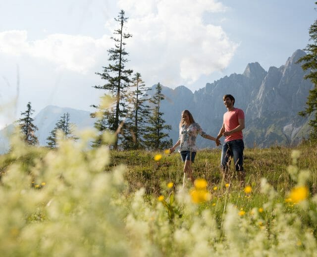 Wandern beim Hochkönig Paar läuft Händchenhaltend durch die grüne Almwiese