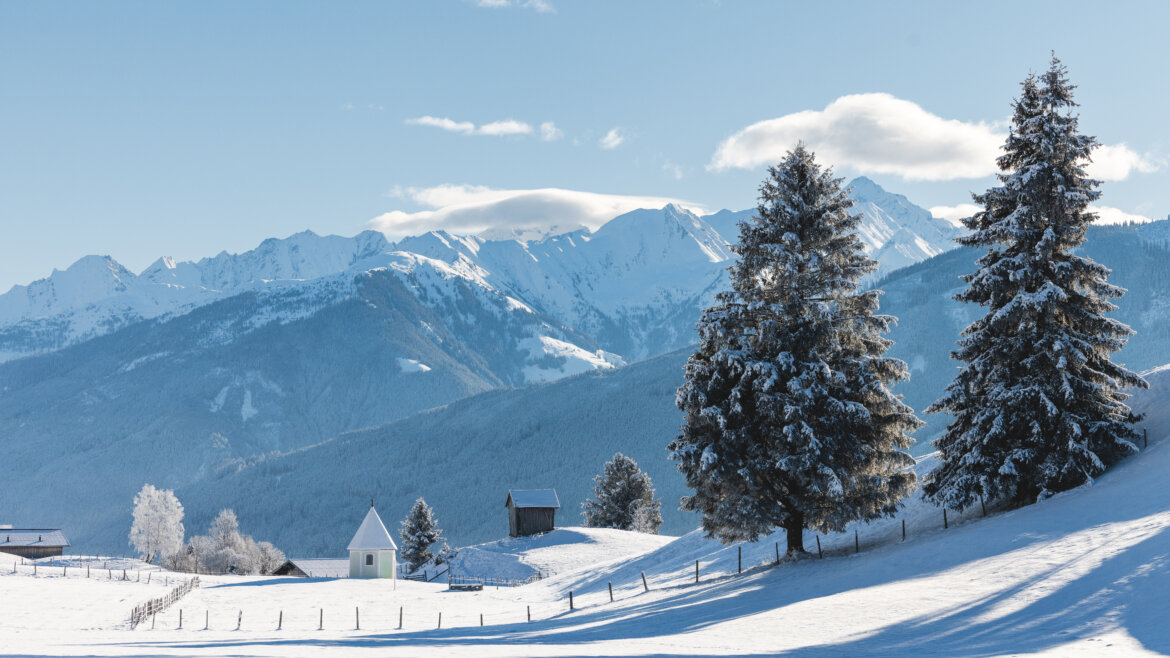 (c) Mathäus Gartner winterly landscape, mountains in the backround and in front two large trees. (Enlarged view)