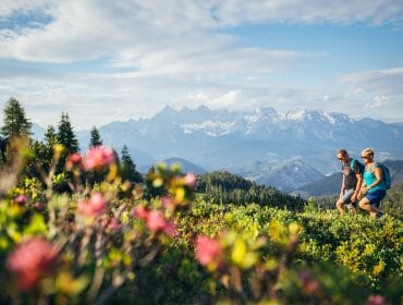 Fageralm Wandern Sonnenuntergang (C)TVB Forstau (3) Two people hike on a mountain trail with wildflowers and distant snow-capped peaks in the background.