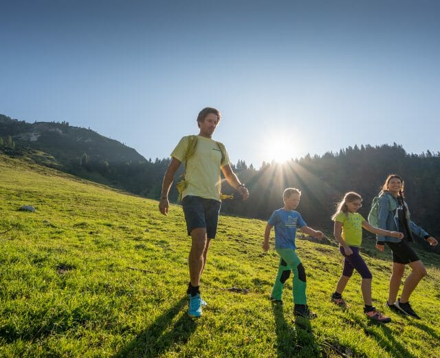 A family of four hikes up a sunlit grassy hillside in Salzburger Sportwelt, mountains and trees behind.