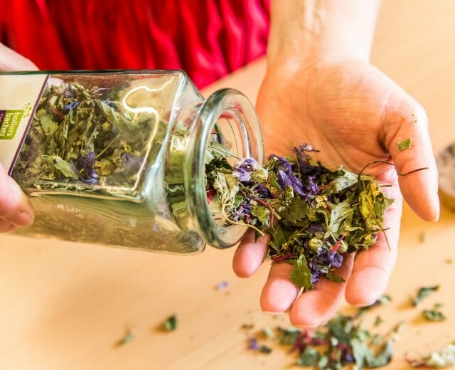 Hüttenurlaub Kräuterkunde Tea from freshly dried herbs