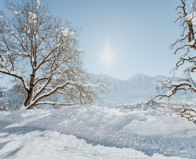 Salzburger Sonnenterrasse, Winter, Schnee
