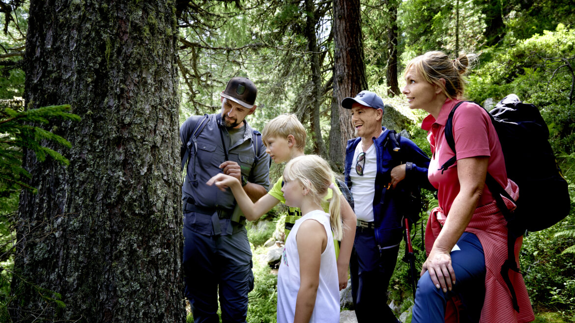 With a ranger in the Wiegen forest (c) Ferienregion Nationalpark Hohe Tauern A family with a ranger studing a tree (Enlarged view)