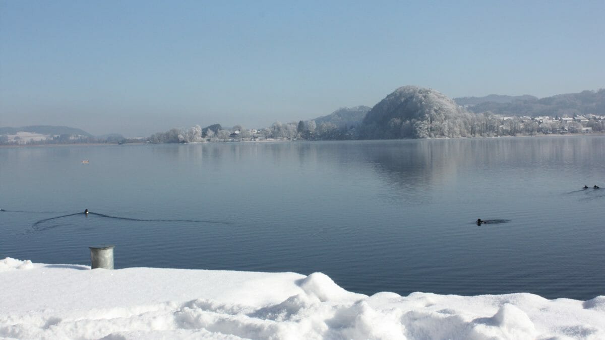 See Ham Seeham: Organic Paradise on Lake Obertrum with nature and culture