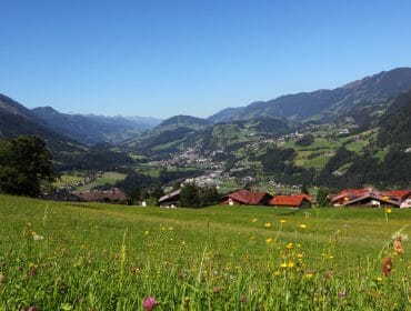 View of St. Veit’s green valley with wildflowers, scattered houses, and mountains under a clear blue sky.