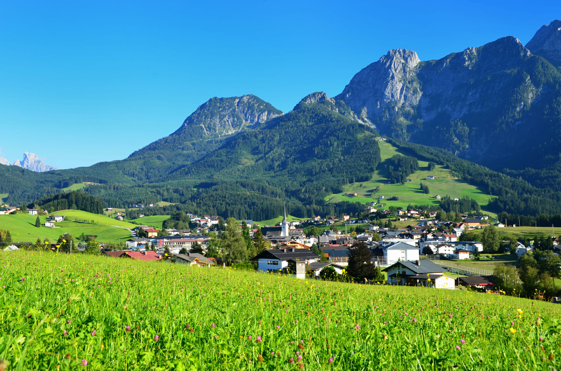 Blick auf Abtenau, grüne Wiese im Vordergrund, bewaldete Berge im Hintergrund