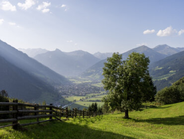 A green Gastein valley with a tree and fence, surrounded by mountains under a clear blue sky.
