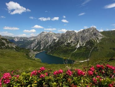 Pink wildflowers in the foreground with mountains, a lake, and blue sky with clouds in the background.
