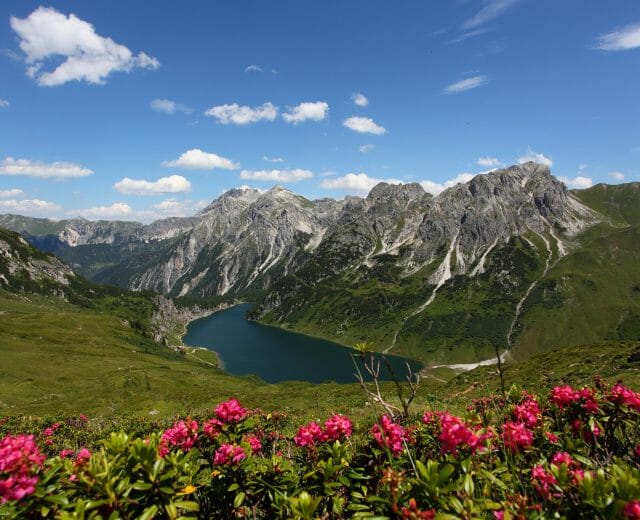tappenkar_55 Pink wildflowers in the foreground with mountains, a lake, and blue sky with clouds in the background.