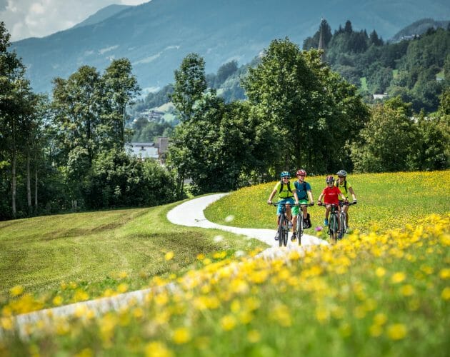 A family on bikes in the landscape of SalzburgerLand