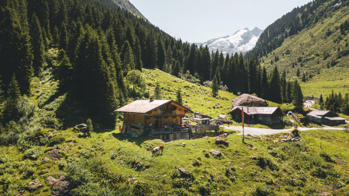 (c) Ferienregion NPHT _ Daniel Kogler A wooden cabin sits on a grassy hillside in National Park Hohe Tauern, with trees and snow-capped mountains behind. (Enlarged view)