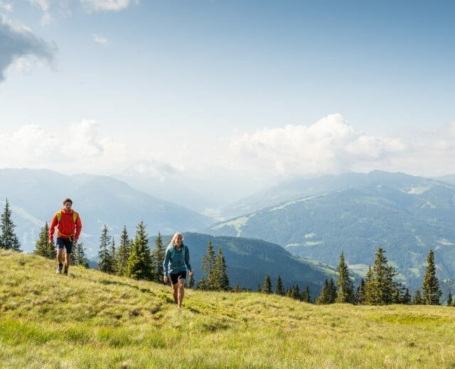 Wandern auf das Hochgründeck © Salzburger Sportwelt – Fotograf Lorenz Masser Two people hike up a grassy hill in Wagrain-Kleinarl, with pine trees and mountains under a blue sky.