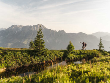 In the foreground, green alpine meadows and a mountain lake; in the background, rugged peaks.