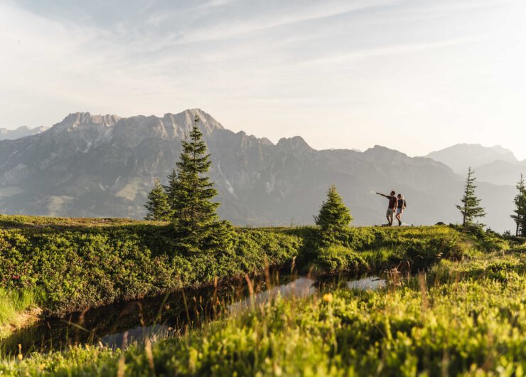 In the foreground, green alpine meadows and a mountain lake; in the background, rugged peaks.