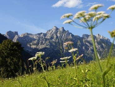 Schroffe Berge und sanfte Almwiesen