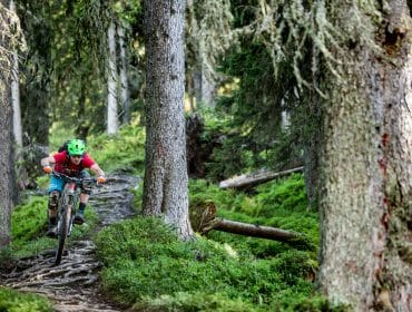 Cycling enthusiast in a green helmet rides a rugged forest trail, surrounded by tall trees and lush greenery.