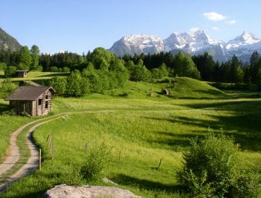 pilgerwege—jakobsweg Schmaler Wiesenweg im Sonnenschein