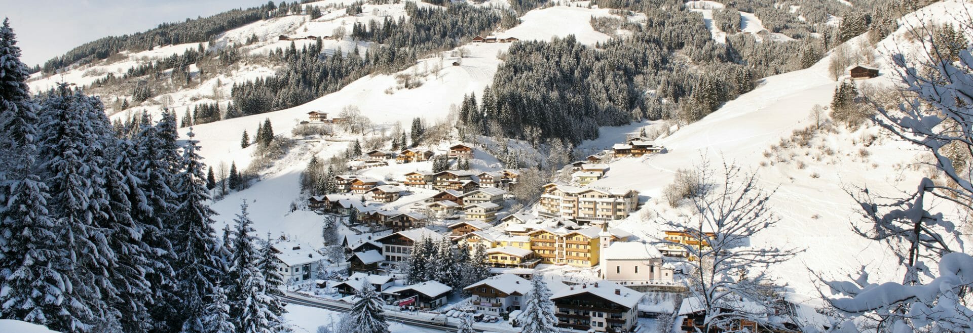 Viehhofen in winter.