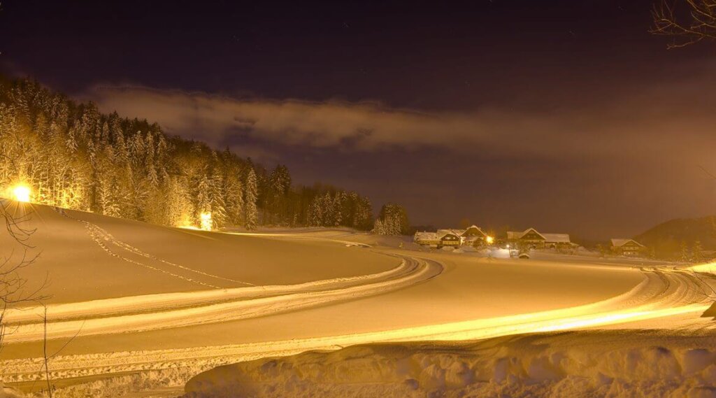Snowy landscape at night with glowing streetlights, forest, and distant houses under a cloudy sky.