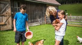 a young boy and young girl feedind chickens in a yard