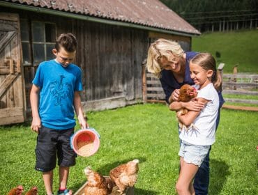 a young boy and young girl feedind chickens in a yard