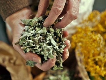 Karin Buchart with herbs