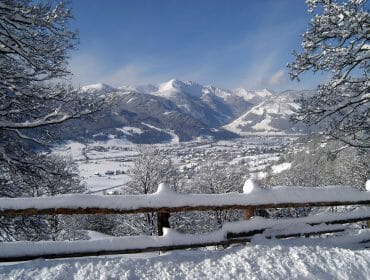 a fence and trees covered in snow