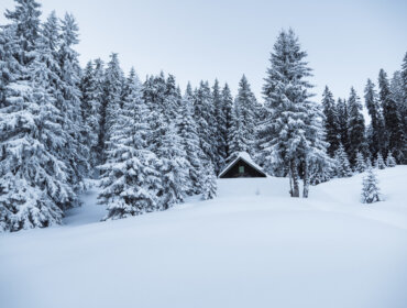 Wooden cabin in a Snow-covered landscape A small hut is surrounded by snow-covered pine trees in a wintry forest landscape.