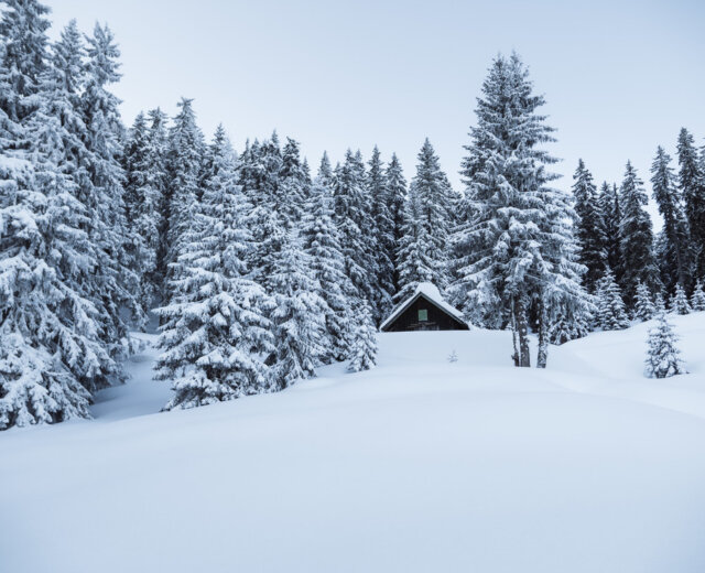 A small hut is surrounded by snow-covered pine trees in a wintry forest landscape.