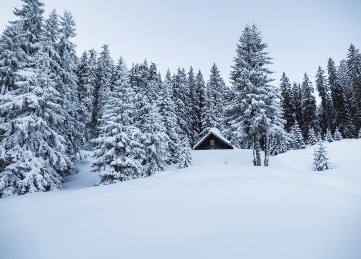 Wooden cabin in a Snow-covered landscape A small hut is surrounded by snow-covered pine trees in a wintry forest landscape.