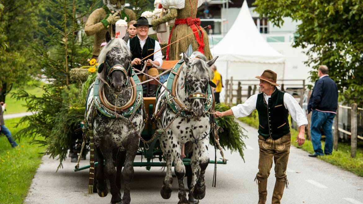 a group of people riding on the back of a horse (Enlarged view)