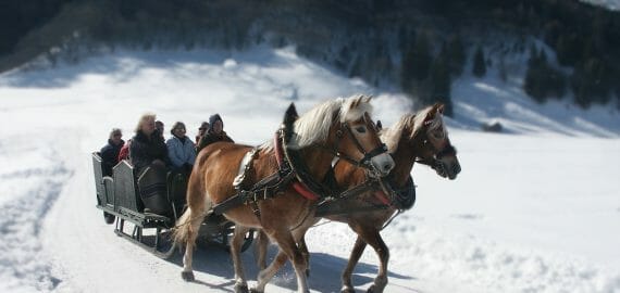 a group riding horses in the snow