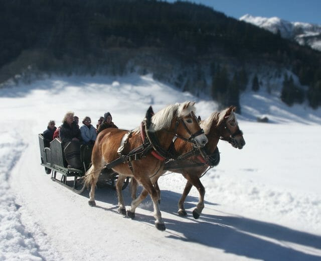a group riding horses in the snow