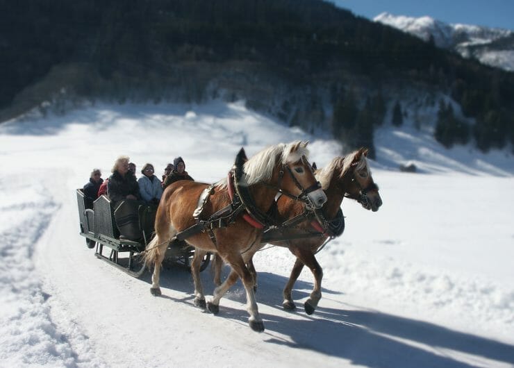 a group riding horses in the snow